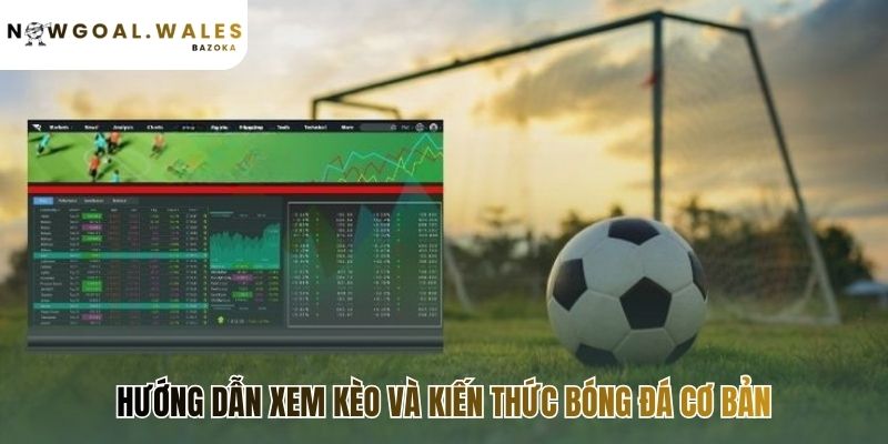 Football Odds Guide: Simple Explanations of Common Football Terms